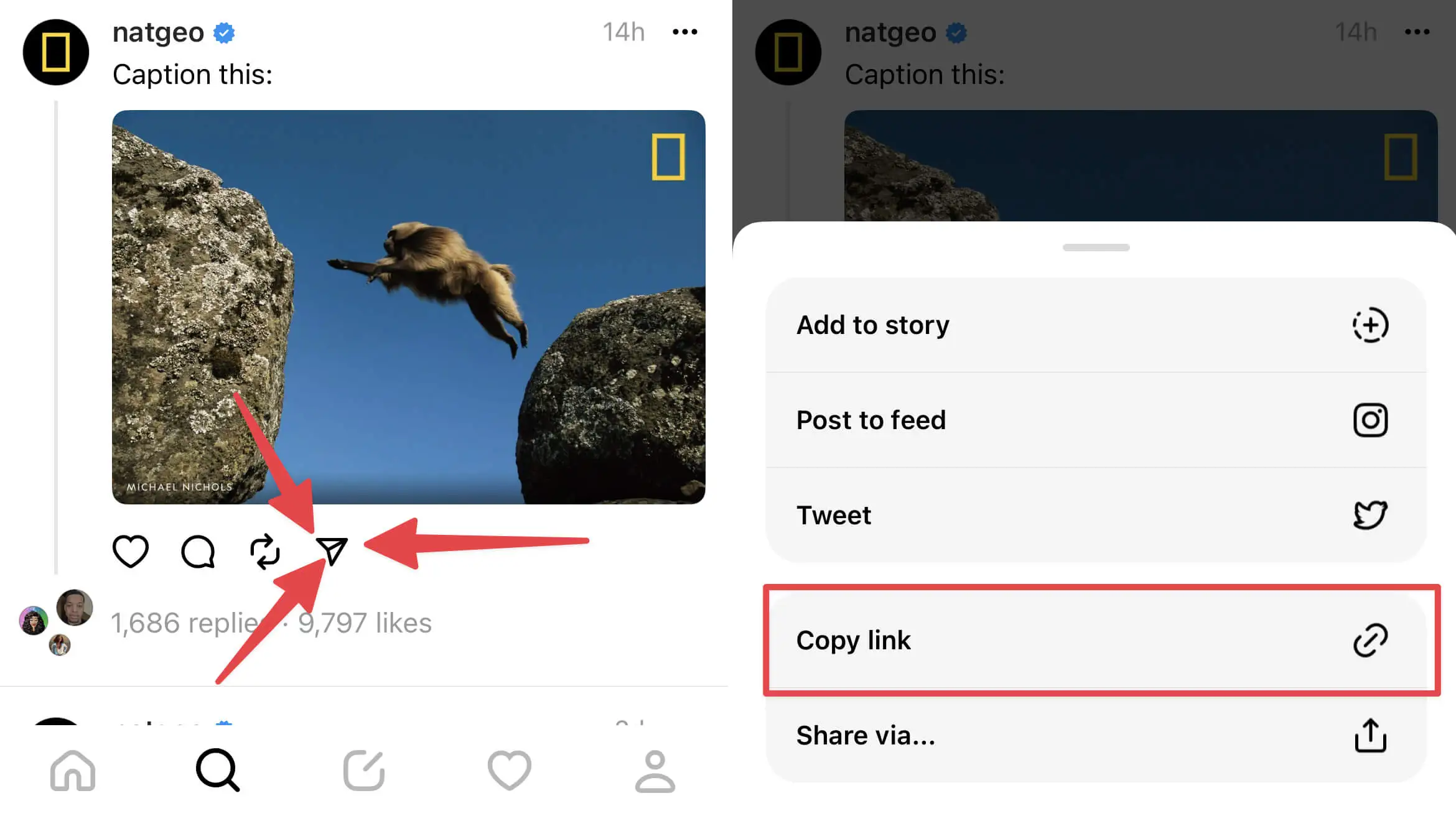 How to download Threads videos, photos